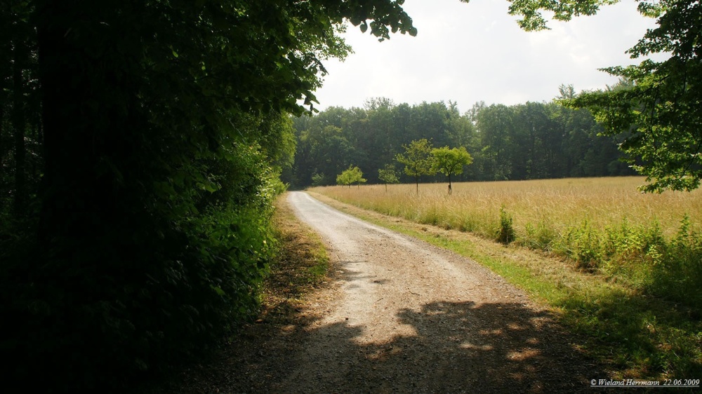 Schwarze Heide